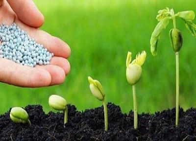 افزایش 10 درصدی محصولات کشاورزی با کودهای زیستی