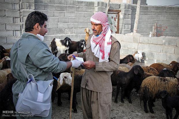مایه کوبی 100 درصد روستاهای شهرستان بیجار علیه بیماری تب مالت مایه کوبی 100 درصد روستاهای شهرستان بیجار علیه بیماری تب مالت
