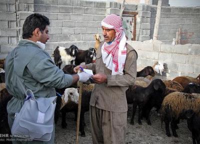 مایه کوبی 100 درصد روستاهای شهرستان بیجار علیه بیماری تب مالت