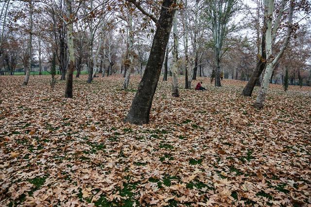 برپایی دهکده هنر و بازی های ملل در بوستان ملت