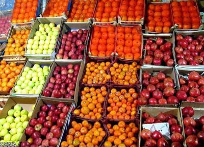 افزایش 5 تا 10 درصدی میوه های شب یلدا