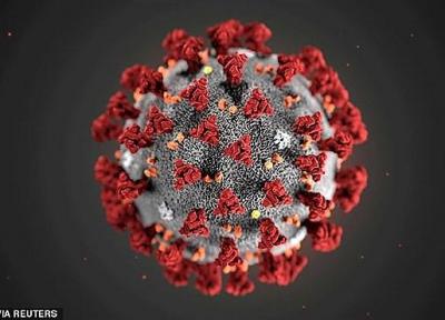 تعداد مبتلایان به ویروس کرونا به 2336 نفر افزایش یافت