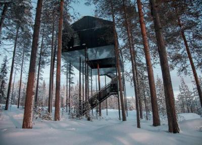 هتل درختی زیبا در یکی از بهترین جنگل های سوئد، عکس