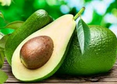 دانه ها این گیاه چالش بزرگ زمین را حل کرد