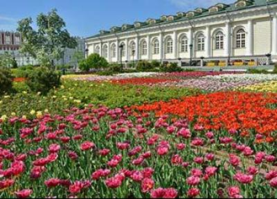 نمونه طراحی باغ ویلا: باغ الکساندر در مسکو، باغ یادبود پیروزی ها