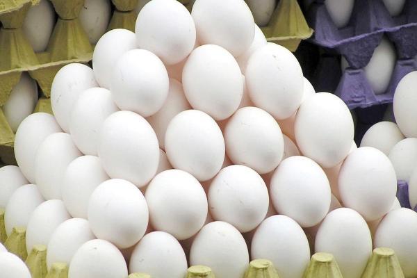 کاهش قیمت تخم مرغ در میادین میوه و تره بار