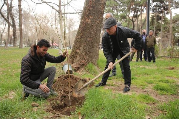 پیشنهاد مدیرعامل سازمان بوستان ها به تهرانی ها ، درخواست دریافت نهال و درختکاری را به 137 اعلام کنید