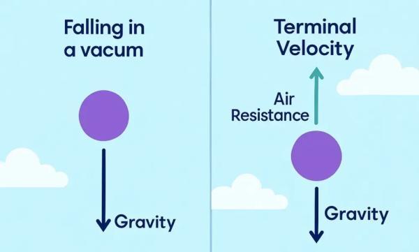 سرعت نهایی یا سرعت حد سقوط چیست؟ چرا بدن یا اجسام هنگام سقوط آزاد از مقدار معنی، بیشتر سرعت نمی گیرند؟