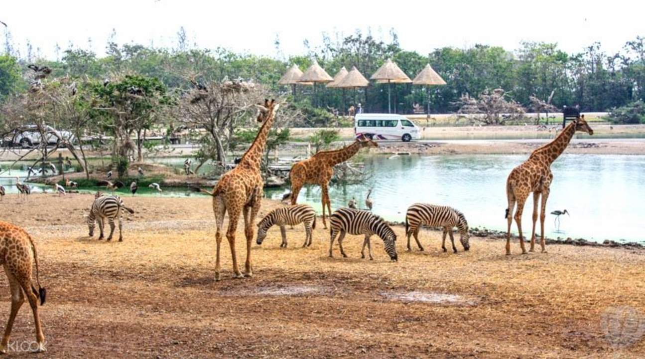 safari world bangkok دنیای وحش سافاری بانکوک